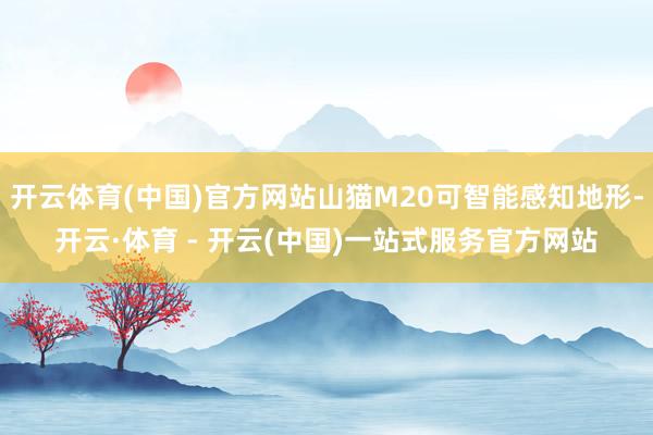 开云体育(中国)官方网站山猫M20可智能感知地形-开云·体育