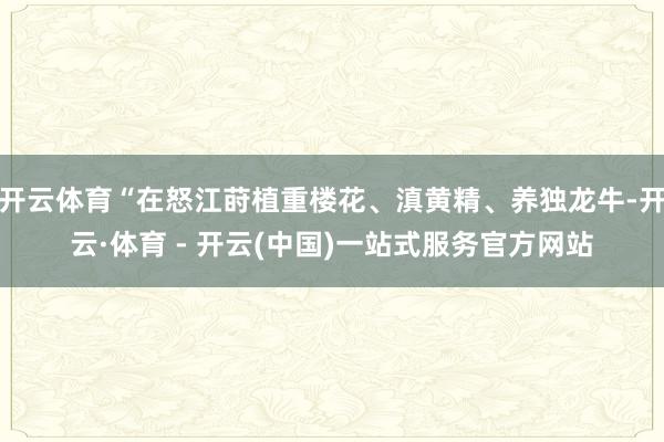 开云体育“在怒江莳植重楼花、滇黄精、养独龙牛-开云·体育 -