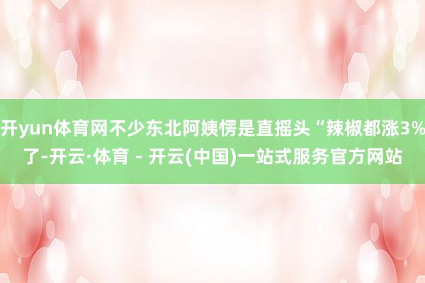 开yun体育网不少东北阿姨愣是直摇头“辣椒都涨3%了-开云·
