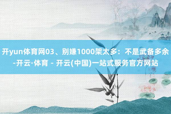开yun体育网03、别嫌1000架太多：不是武备多余-开云·体育 - 开云(中国)一站式服务官方网站