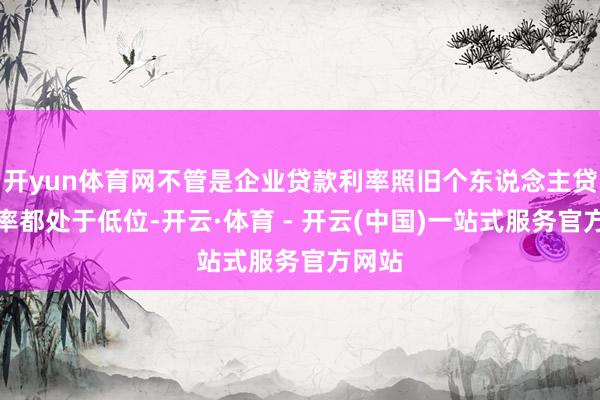 开yun体育网不管是企业贷款利率照旧个东说念主贷款利率都处于低位-开云·体育 - 开云(中国)一站式服务官方网站