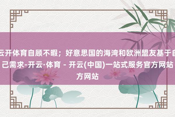 云开体育自顾不暇；好意思国的海湾和欧洲盟友基于自己需求-开云·体育 - 开云(中国)一站式服务官方网站