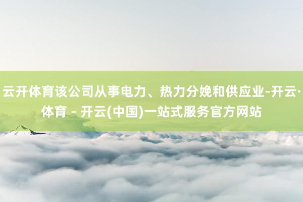 云开体育该公司从事电力、热力分娩和供应业-开云·体育 - 开云(中国)一站式服务官方网站