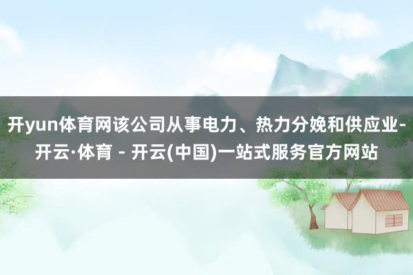 开yun体育网该公司从事电力、热力分娩和供应业-开云·体育 - 开云(中国)一站式服务官方网站