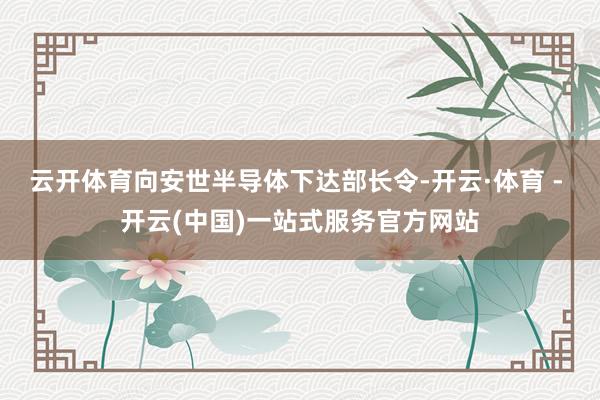 云开体育向安世半导体下达部长令-开云·体育 - 开云(中国)一站式服务官方网站