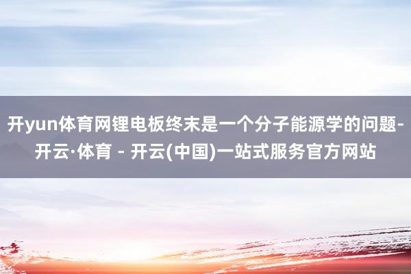 开yun体育网锂电板终末是一个分子能源学的问题-开云·体育 