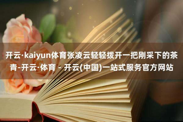 开云·kaiyun体育张凌云轻轻拨开一把刚采下的茶青-开云·